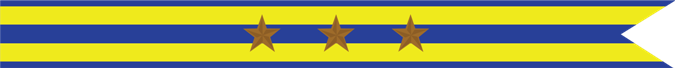 United States Navy Expeditionary Campaign Streamer with 3 Bronze Stars